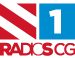 Radio S1 ex Delfin logo