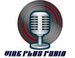Vink Plus Radio logo