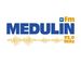 Radio Medulin logo