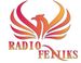 Radio Feniks - Savez slijepih Crne Gore logo