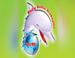 Delfin Radio Prokuplje logo