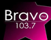 Radio Bravo FM logo