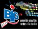 Big FM logo