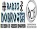 Radio Dobrogea logo