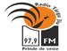 Radio Targu-Jiu logo