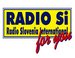 Radio Slovenija Int. logo
