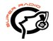 Super Radio logo