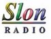 Radio Slon logo