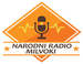 NARODNI RADIO MILVOKI - Milwaukee - USA logo